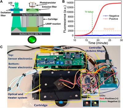 Point-of-care system for rapid real-time detection of SARS-CoV-2 virus based on commercially available Arduino platforms